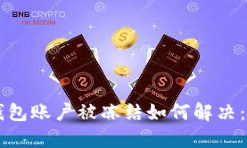 虚拟冷钱包账户被冻结如何解决：全面指南